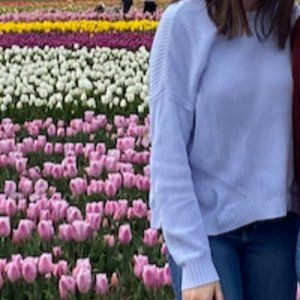 Baby Blue Hollister Sweater